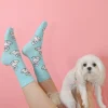Online Chaussettes Bichon Chaussettes Coton
