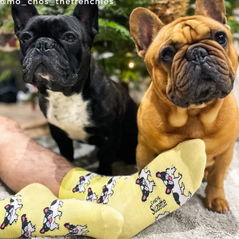 New Chaussettes Bouledogue Chaussettes Coton