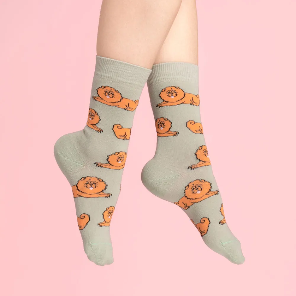 New Chaussettes Chow chow Chaussettes Coton