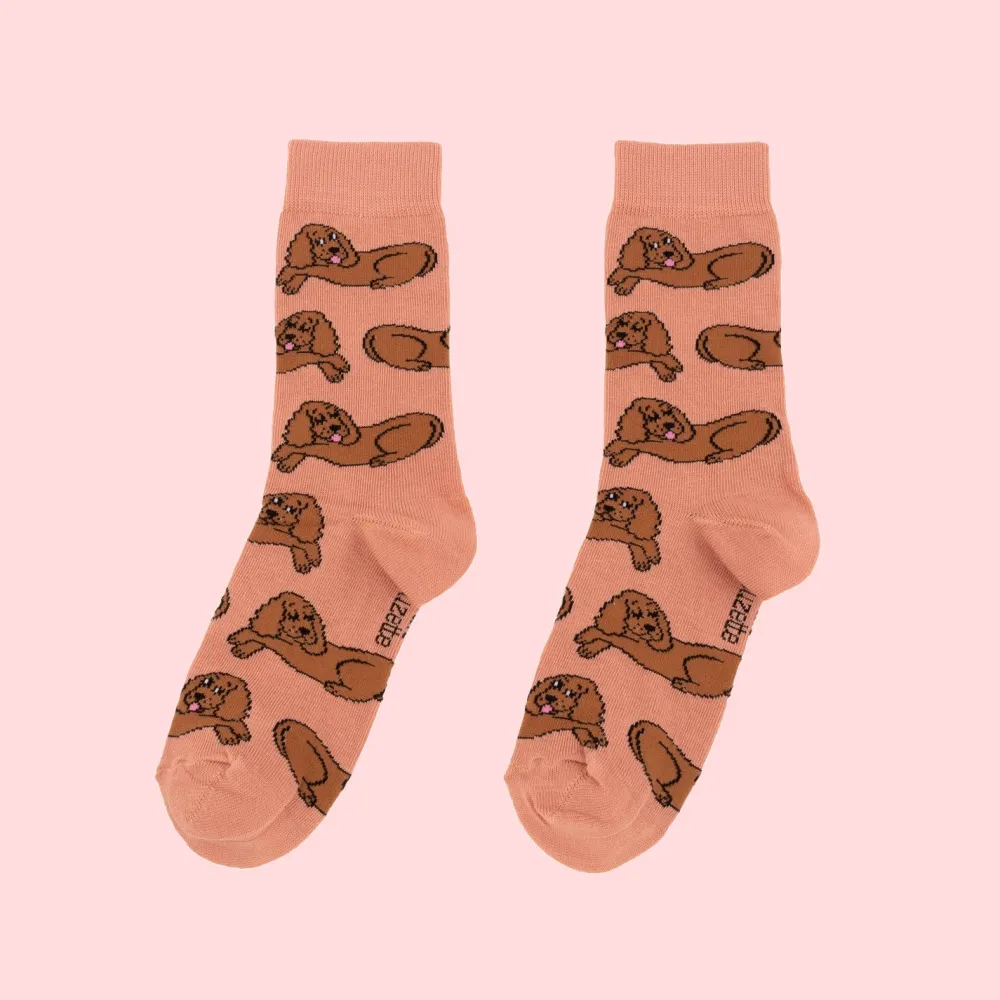 Fashion Chaussettes Cocker Chaussettes Coton