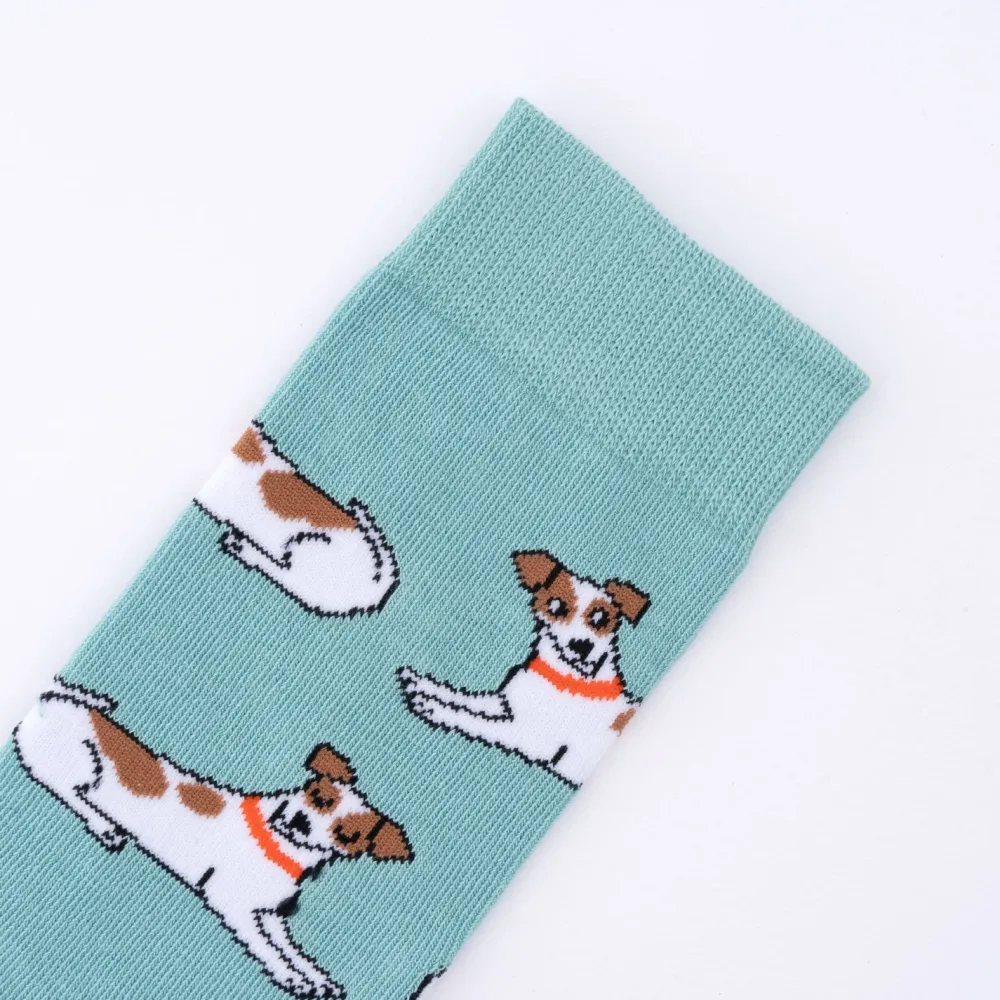 Shop Chaussettes Jack Russel Chaussettes Coton