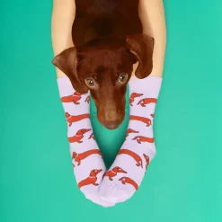 Cheap Chaussettes Teckel Chaussettes Coton