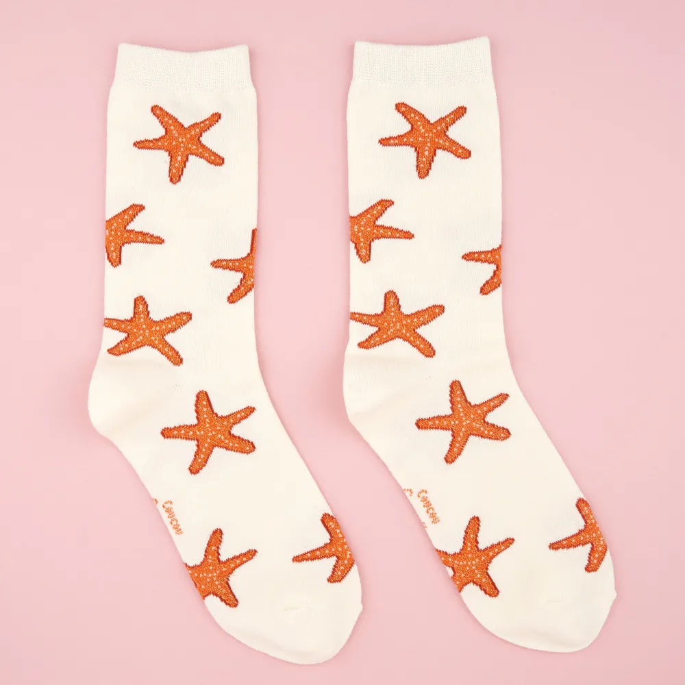 Clearance Chaussettes Étoile de mer Chaussettes Coton