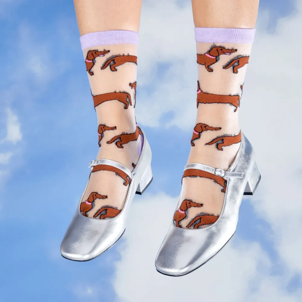 Fashion Chaussettes transparentes Teckel Chaussettes Transparentes