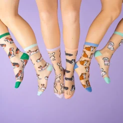 Store Chaussettes transparentes Beagle Chaussettes Transparentes
