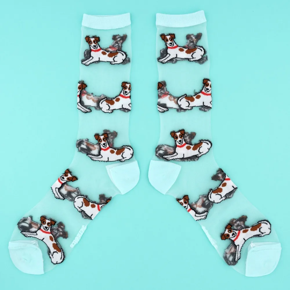 Best Sale Chaussettes transparentes Jack Russel Chaussettes Transparentes