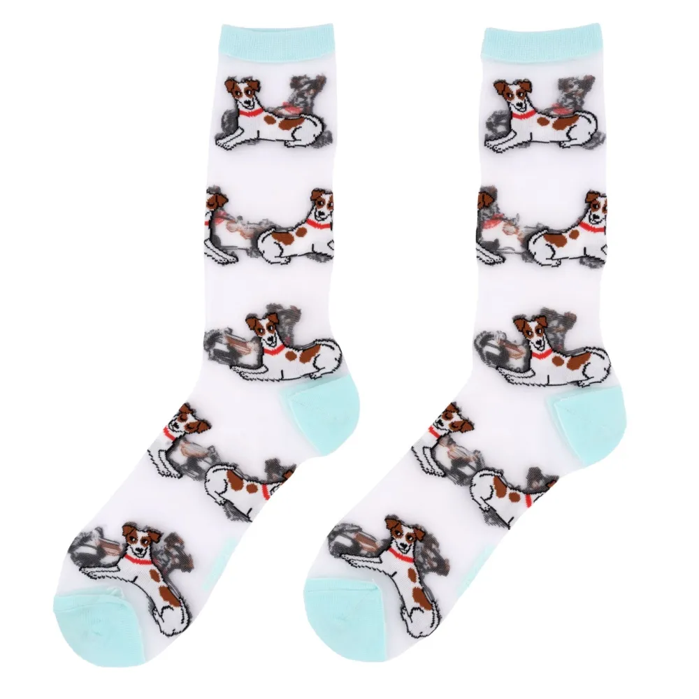 Best Sale Chaussettes transparentes Jack Russel Chaussettes Transparentes