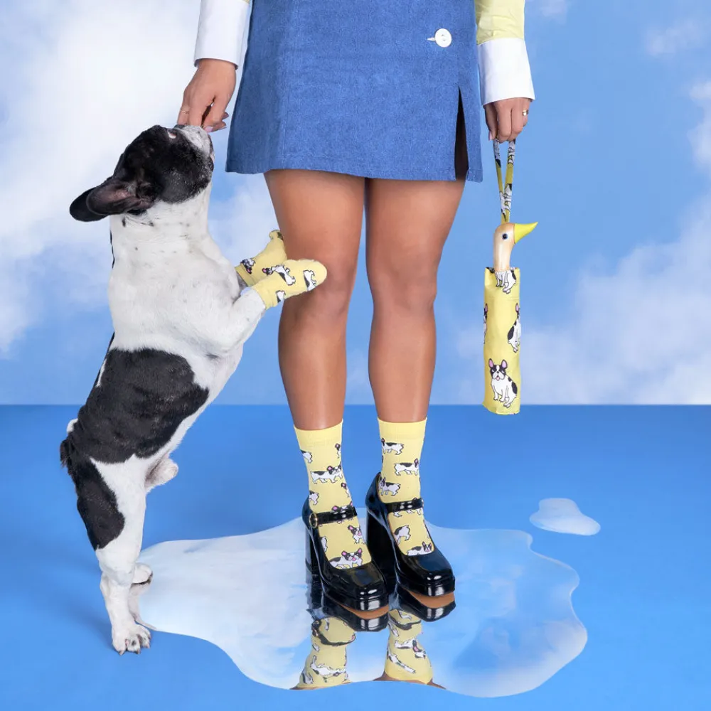 Cheap Parapluie Bouledogue Parapluies