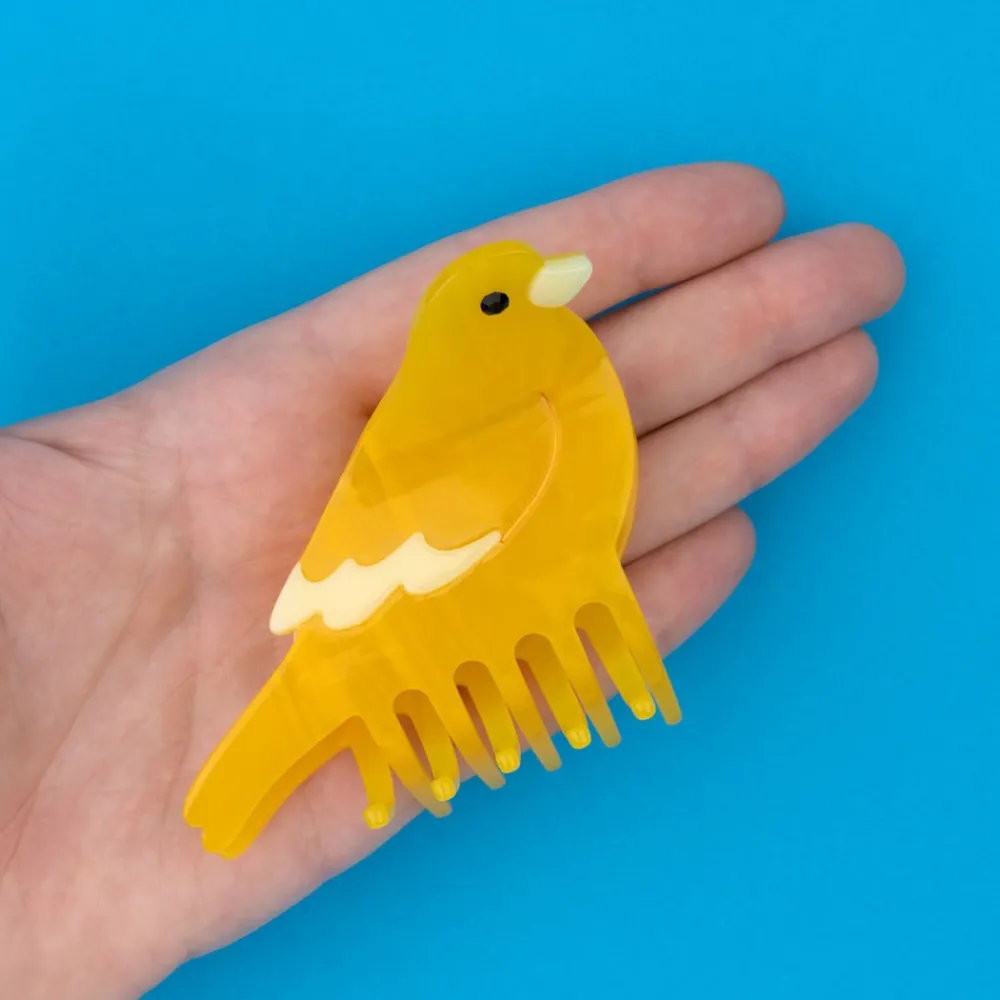 Discount Pince à cheveux Canari Pinces À Cheveux