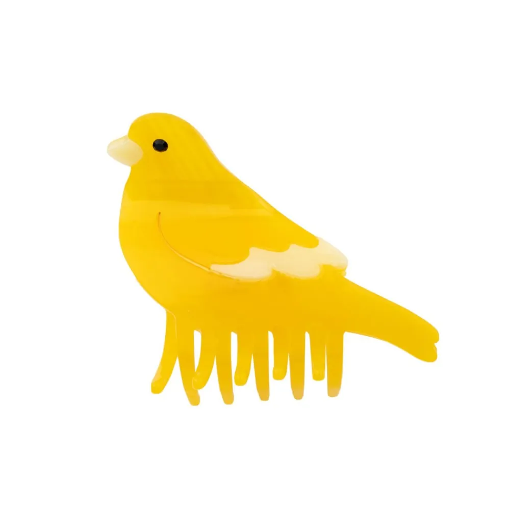 Discount Pince à cheveux Canari Pinces À Cheveux