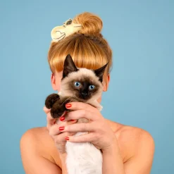 Discount Pince à cheveux Chat Siamois Grandes Pinces À Cheveux|Pinces À Cheveux