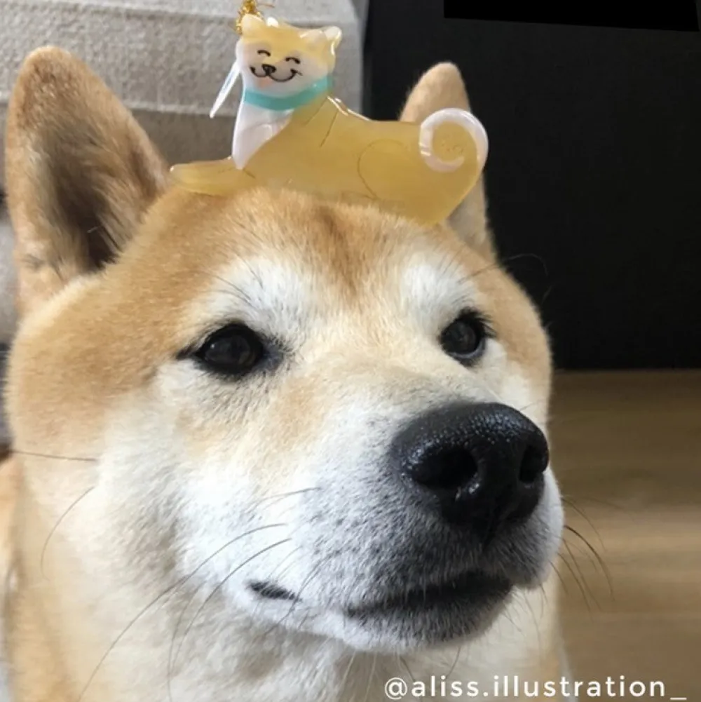 Fashion Pince à cheveux Shiba Pinces À Cheveux