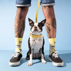Discount Porte-clé - Médaille Bouledogue Porte-clés